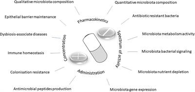 First 1000 Days of Life: Consequences of Antibiotics on Gut Microbiota